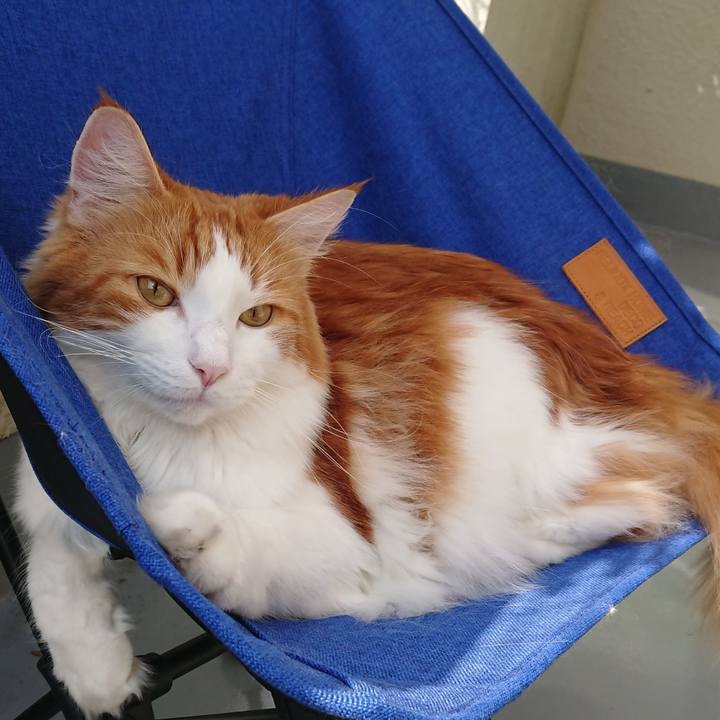 C6e26d71 54c2 4fcf 8f46 f1ac90927a2e 1539876436553