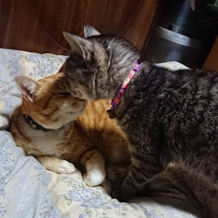 C6e27bf3 27c9 458c a78e 297c62e6b28b 1582976959778