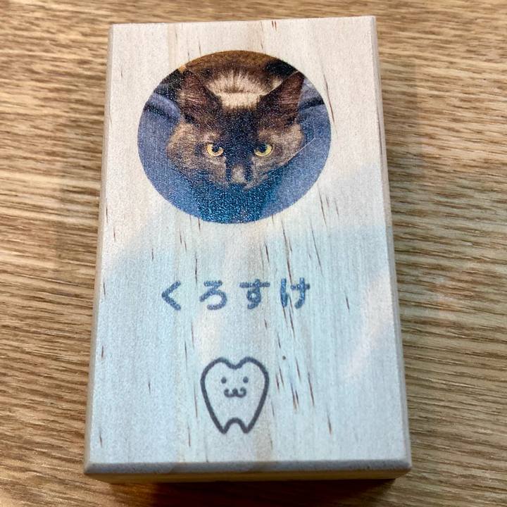 C6e29d6d ccf6 4ab5 ac19 0c3fdf9594e7 1708764070100