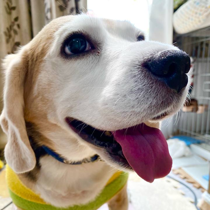 C6e2abf5 c738 4c74 bc50 b8baf280b370 1618372039179