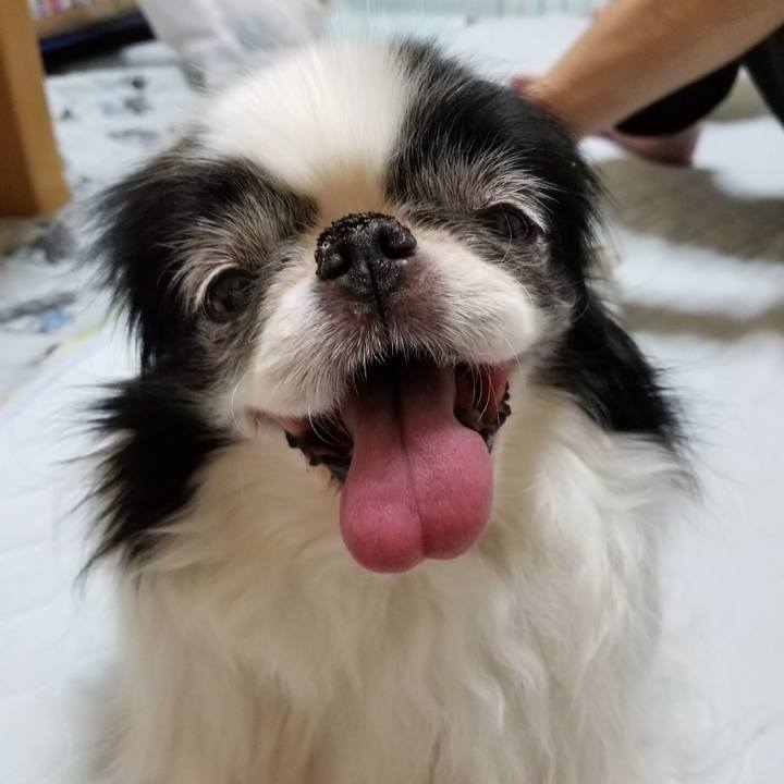 C6e2af22 9fb5 47c1 b38b 4dcb80c966b3 1529927809586