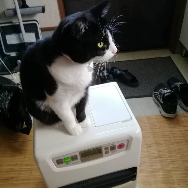 C6e2bb79 dd2b 4f90 a70b abb57548cb75 1603251098694