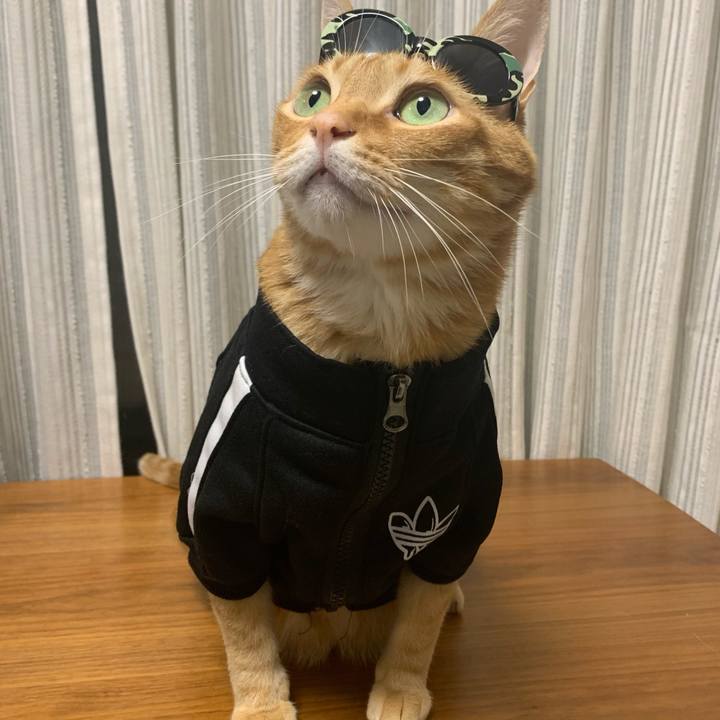 C6e2c01f 6e60 49f9 a534 723e37d81bee 1621896056254