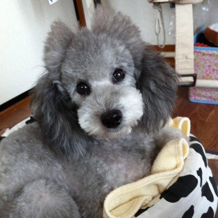 C6e2f4df 375f 4241 9df9 0ab1c52f64f4 1690812830322