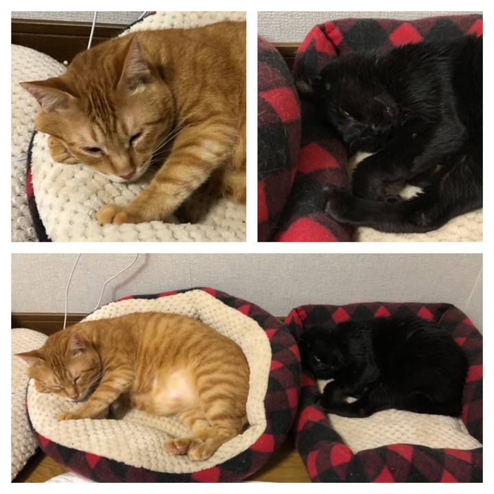 C6e319e6 d482 4f1b b8d8 183a0277cb30 1562507206296