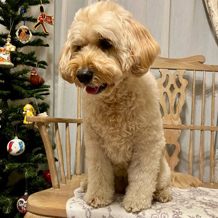 C6e3585d f489 436f ba71 44334ce178f8 1763982916545