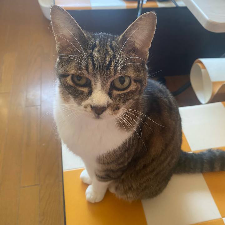 C6e3fd8c 707d 49f6 9dbb 7e85118588b2 1717539316691