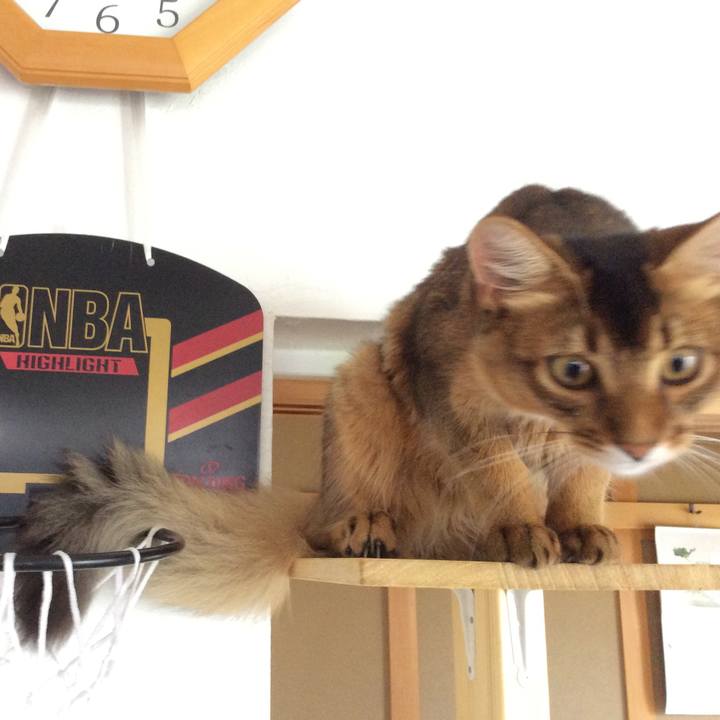 C6e425cb 6646 4763 975b 12638a4b5a0d 1565308292297