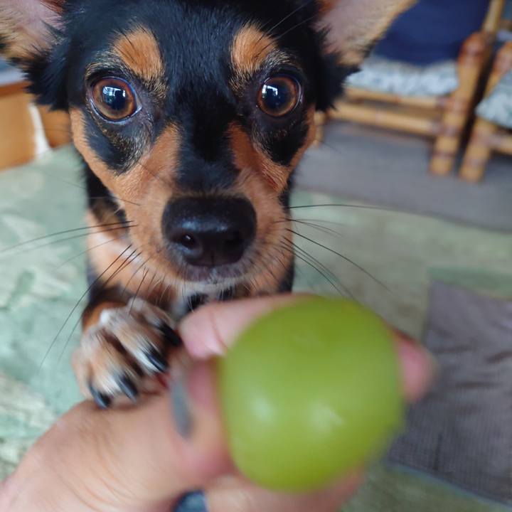 C6e43712 7441 4971 851d fdb561fefd60 1757985516767