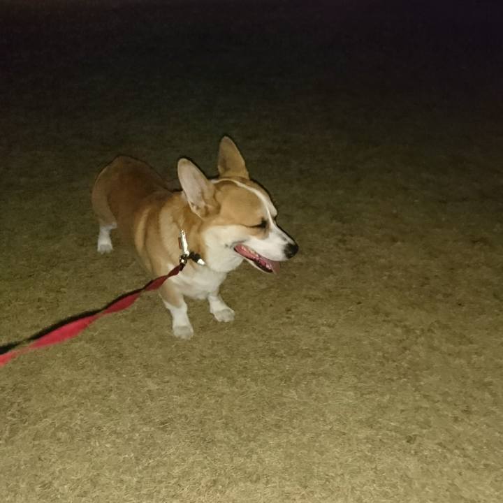 C6e46d26 892f 4d47 b45c c950c9f82dee 1605958982574