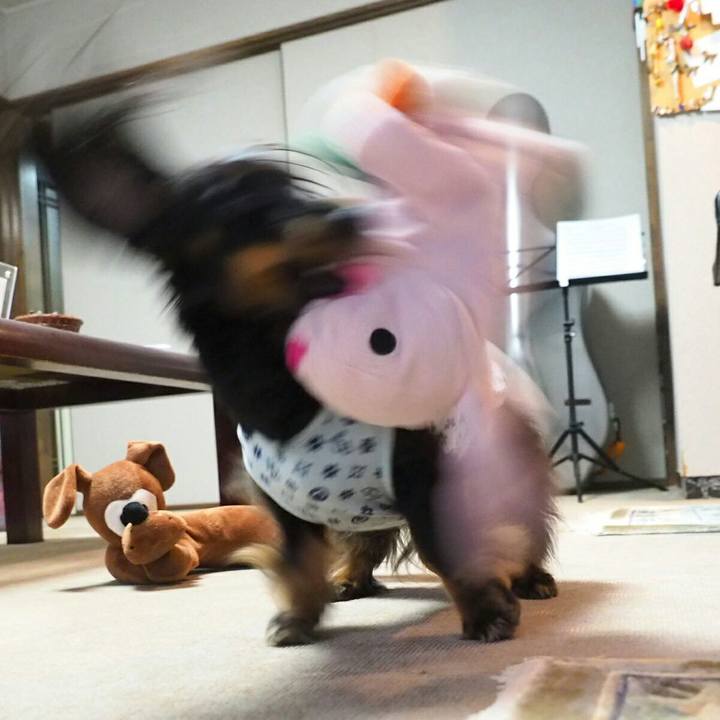 C6e4bec1 1b25 42ce bc63 2f61d2485e19 1525915834022