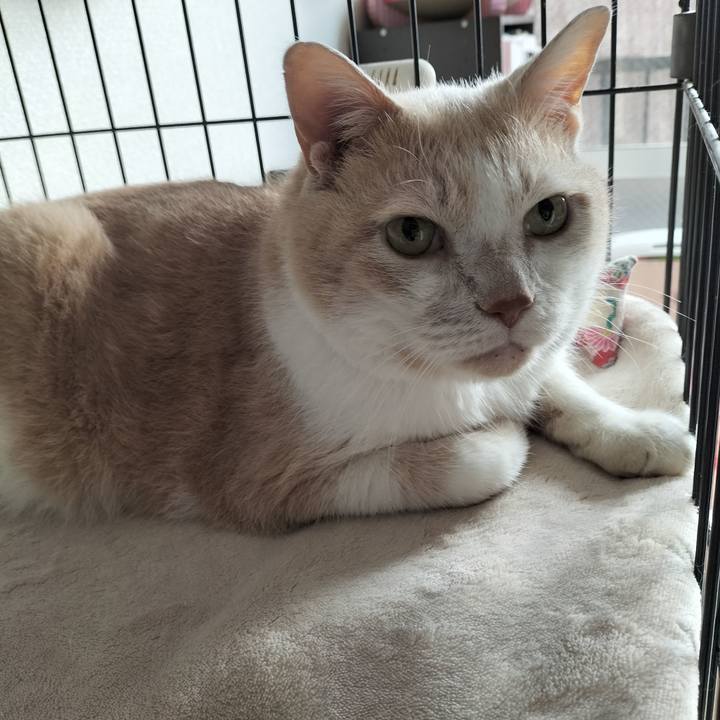 C6e4cbf9 e2d8 49ce b574 0b0fd166a16c 1633645772694