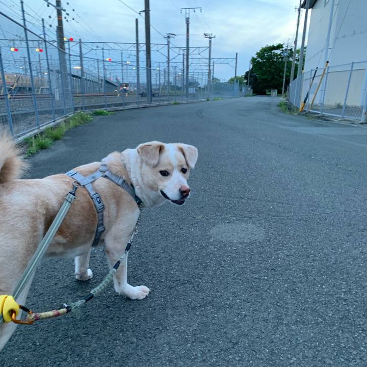 C6e4d664 8f43 4264 9327 992520f5cc41 1557318402959