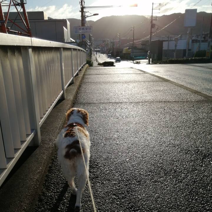 C6e4d9b3 7d9d 4800 84a5 1a28fd82b210 1601157268095