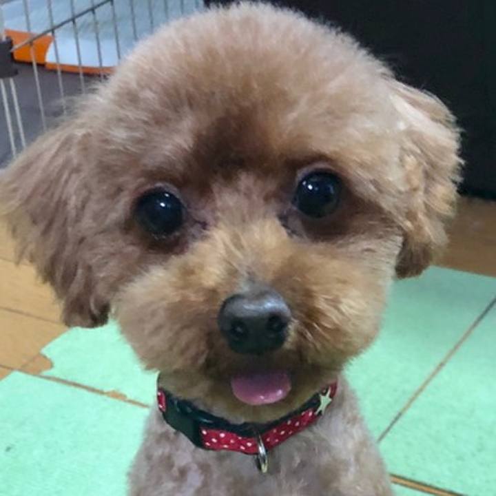 C6e4e292 68bf 443c 951e 3a948623ebaa 1558175187512