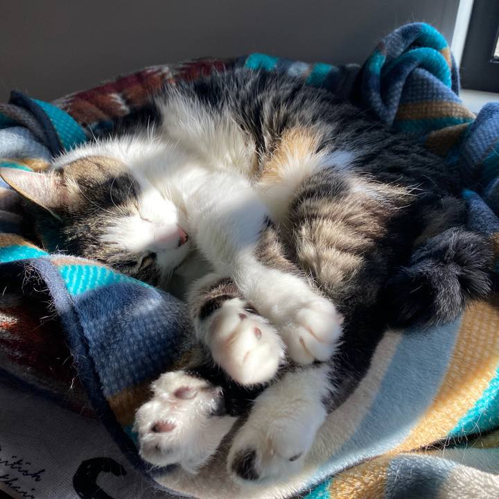 C6e4e7ed 6a8f 4ea0 a9e8 0a9af032f102 1734651475810