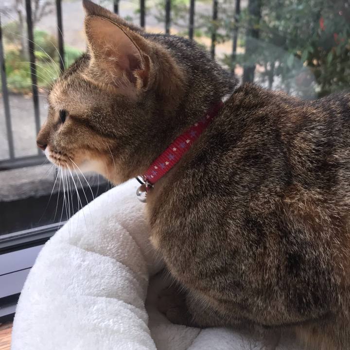 C6e4eb98 1c5b 4c3a a689 9c65dd68489e 1577752026939