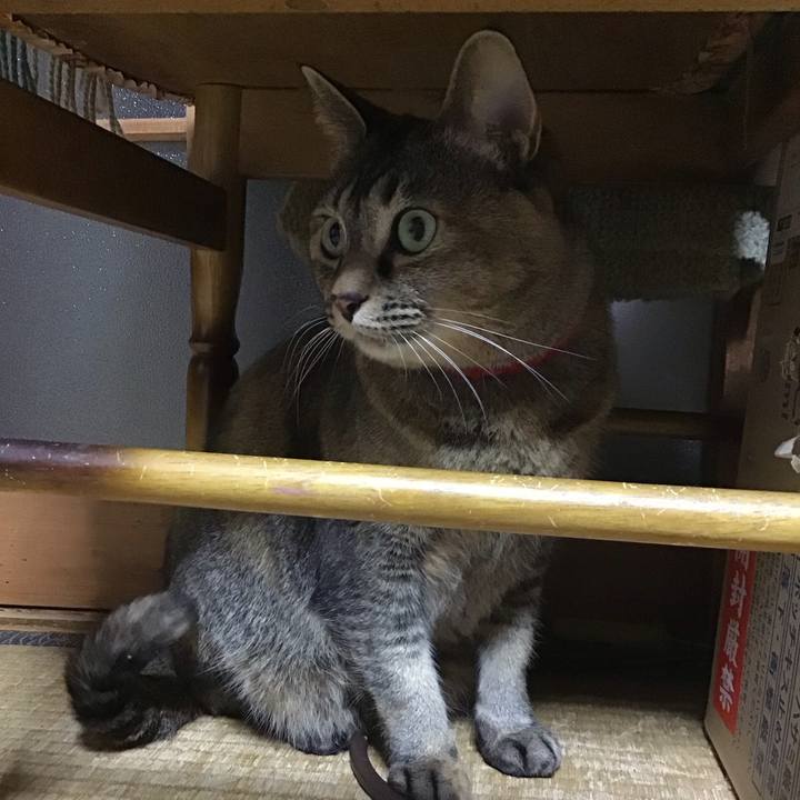 C6e4fe27 a00a 4003 a768 5e90f4bae9ad 1680096195755