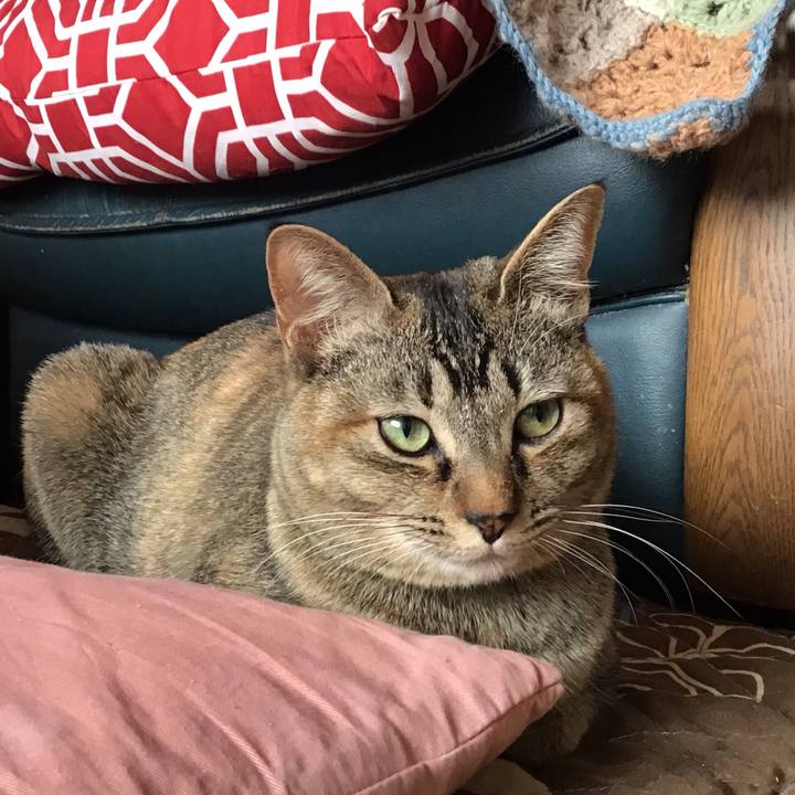 C6e559b9 5669 4db0 8baf a6b1d6e46613 1584745066696