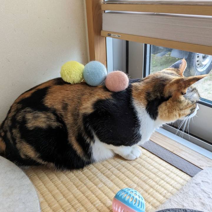 C6e57922 8ce8 4e51 883f 29886e70fdc8 1689911033310