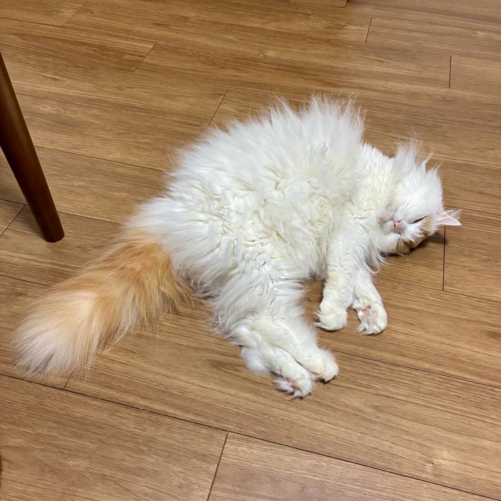 C6e57a9d 38d4 4764 b82a 2eb274573233 1769053233569