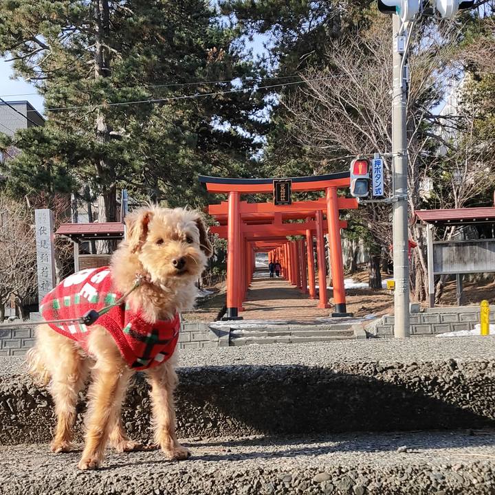 C6e58641 99a4 43f4 8b0b 5efe127abb89 1585440584130