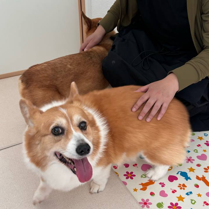 C6e5a34d 86e8 4baf af63 2fc8ac37ecad 1747977178887