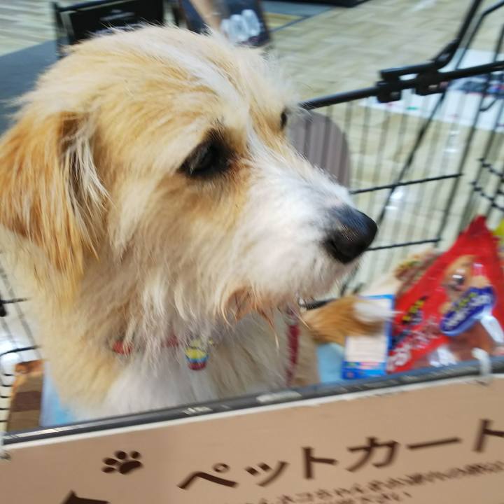 C6e5b8ff 71ea 47da b740 1fd136975671 1516412362666