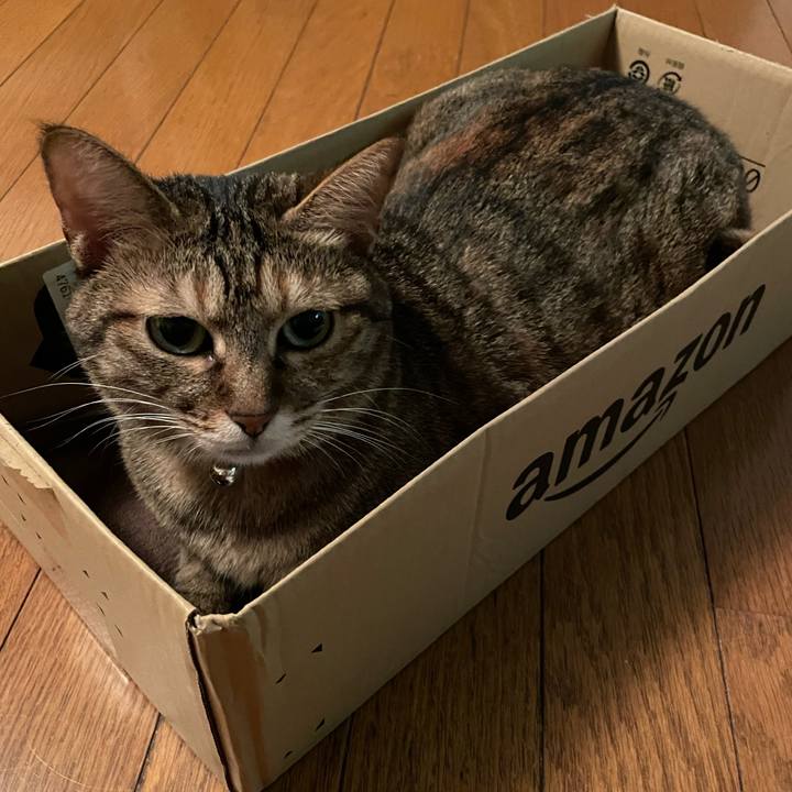 C6e5e462 a11a 483b 8aa5 d5e73a637461 1635075143202