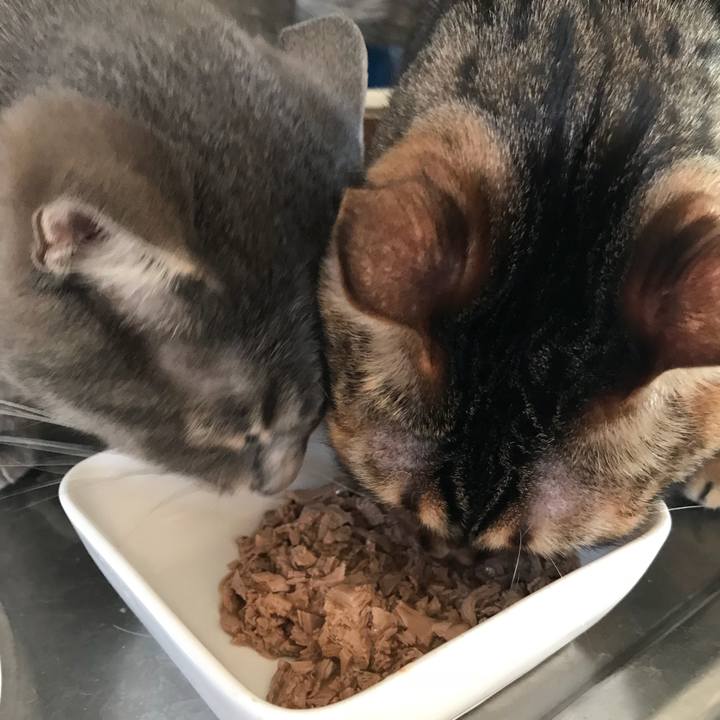 C6e610da ae97 48ce 8b76 87584932b2ac 1540769068435