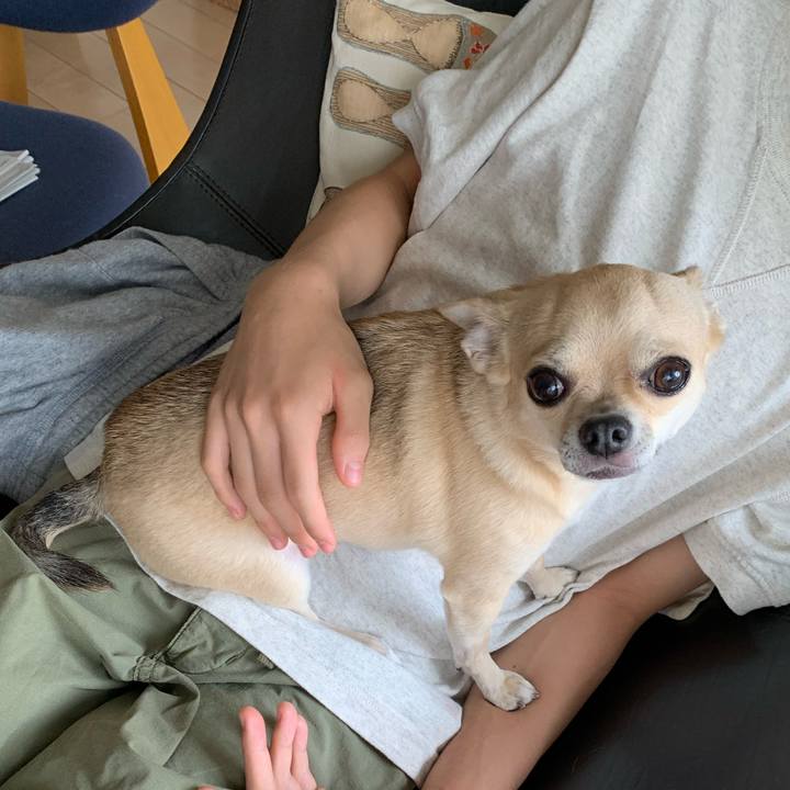 C6e624f4 2193 4959 a55f cd9a08489104 1600227004743