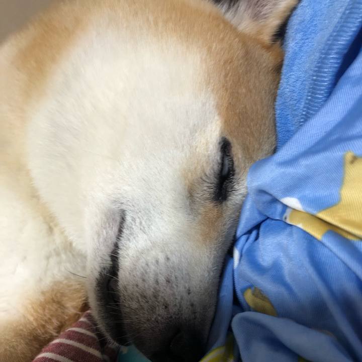 C6e628b1 9cc8 4d24 96da 9e49adfd425e 1568715468441