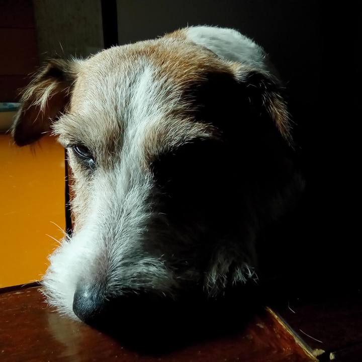 C6e634b2 f9e5 4d73 94f7 c92823200920 1554376936930