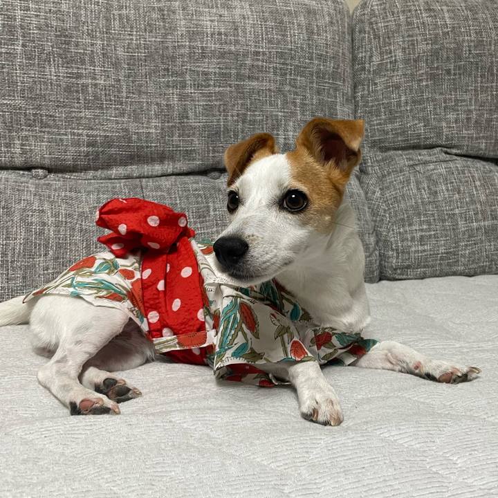 C6e63ddb 32cd 4ae8 98ae 47f8eef62e88 1659226455801