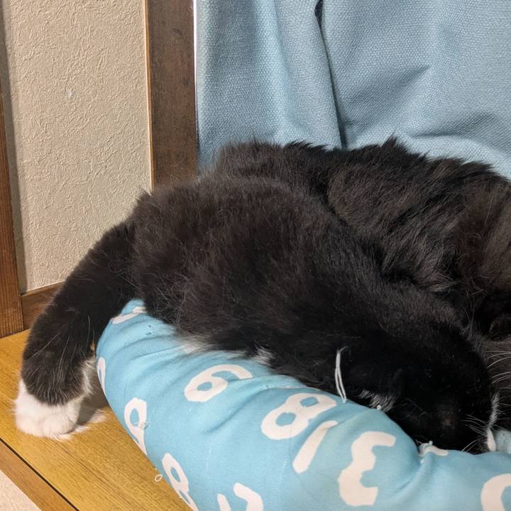 C6e67290 5a42 4d0b b6a7 02838f008a84 1746947296448