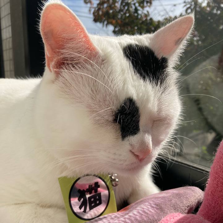 C6e68333 6592 461a 9c5e 2985ce181d16 1763124246306