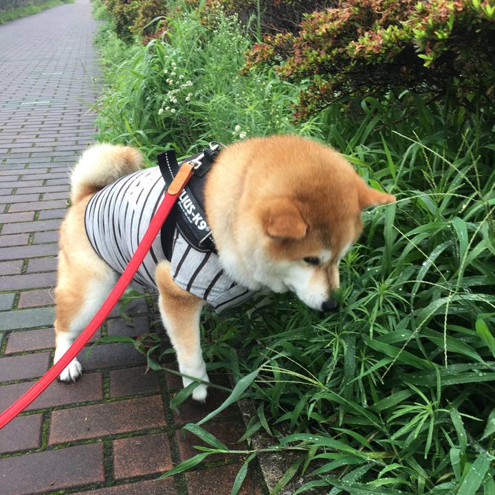 C6e683ee cec0 4b5f 9f4f c71ee5cab9fb 1594784241369