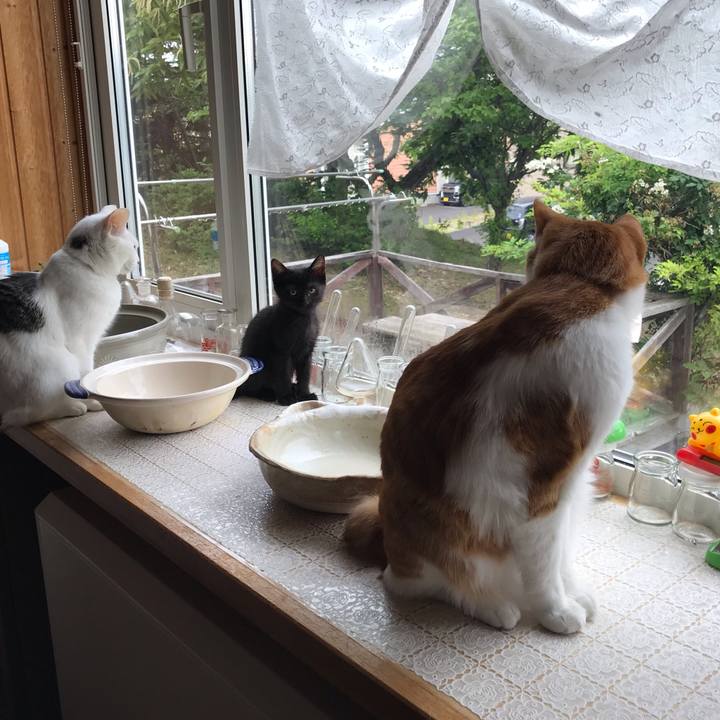 C6e69836 3146 404e 9670 5c821cd55e2b 1563052036532