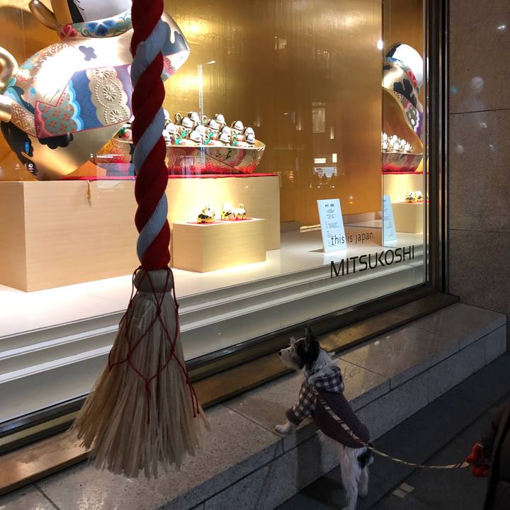 C6e6b37f 42e4 42fa 9bb7 493382263dce 1514640347150