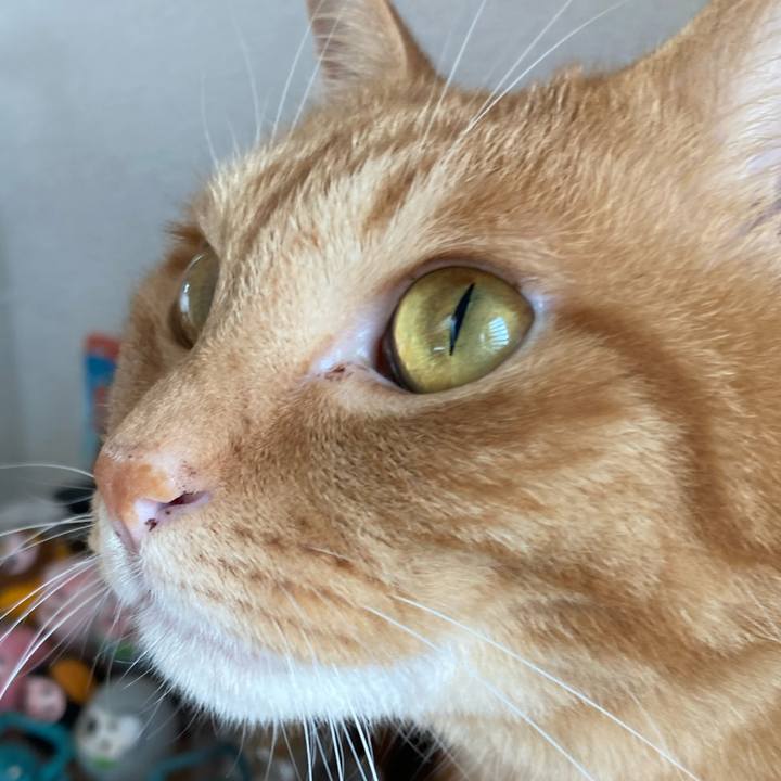 C6e6cb7d ef82 4bad a5c4 aff20356920e 1760763385832