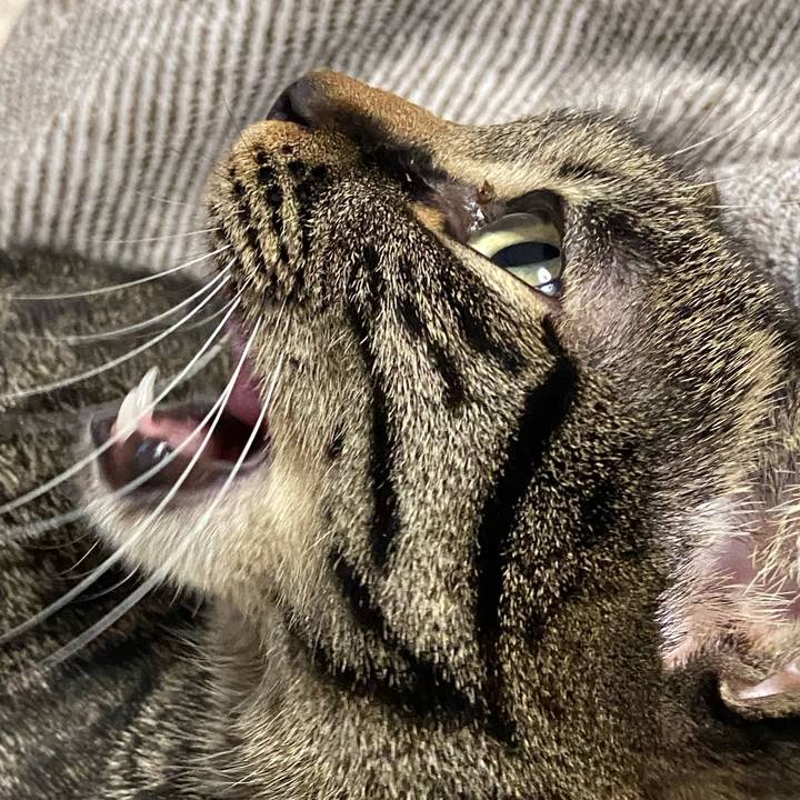 C6e6d40e c36a 4dfe bd8e eb69d1e045c4 1644321851648