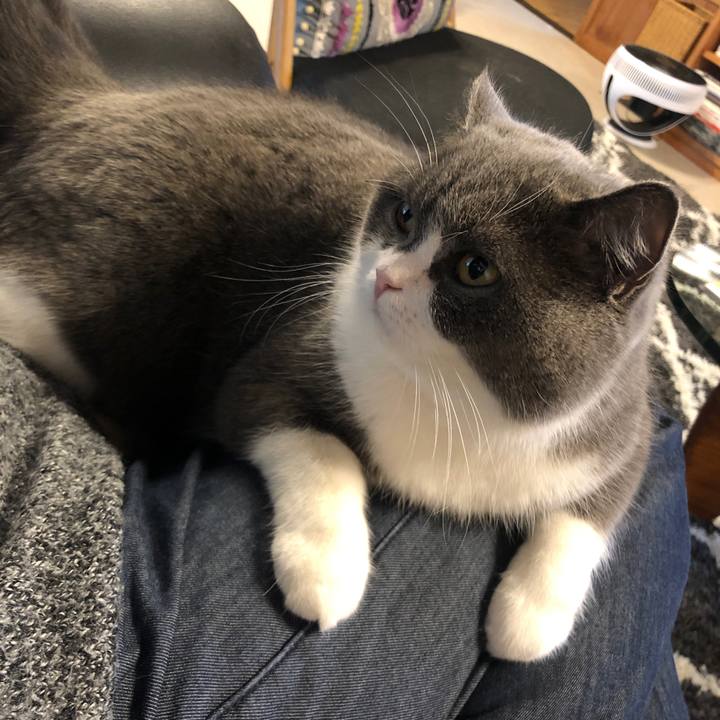 C6e712b8 17cc 4d26 a87d a4d752bafce4 1584151510265