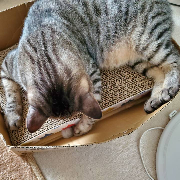 C6e73dea 157c 475b afa8 ca9c7ea532ea 1722810246242