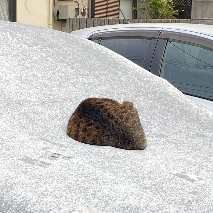 C6e760bb ca21 4261 ba93 6c5de91893e9 1666515534586