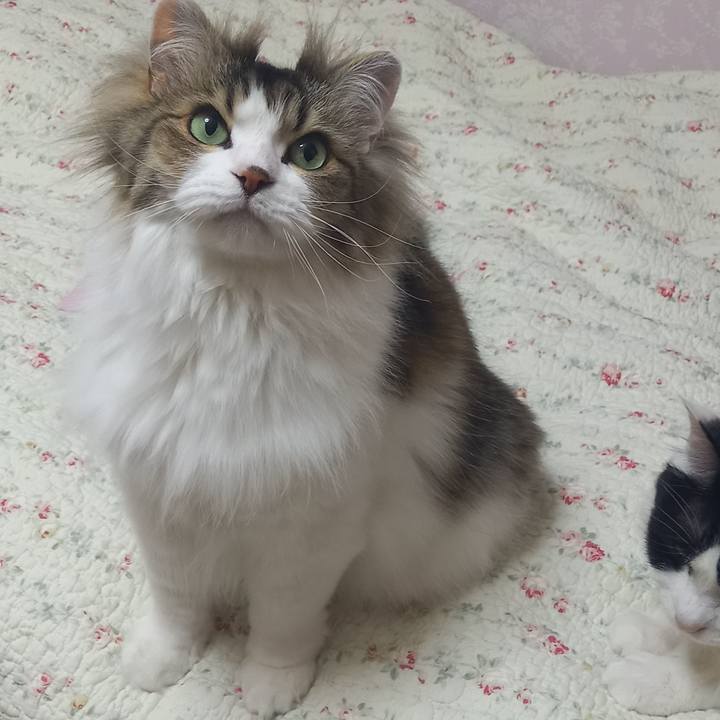 C6e78984 c957 4d20 a989 6a7d7347056c 1619437718620