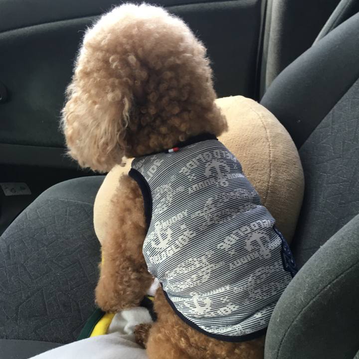 C6e790a1 46f3 4406 b59e 96ceca0e13fc 1538140179504