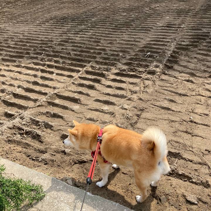 C6e7c1c7 69dd 4cbb bcd9 0284569844c6 1617879817295