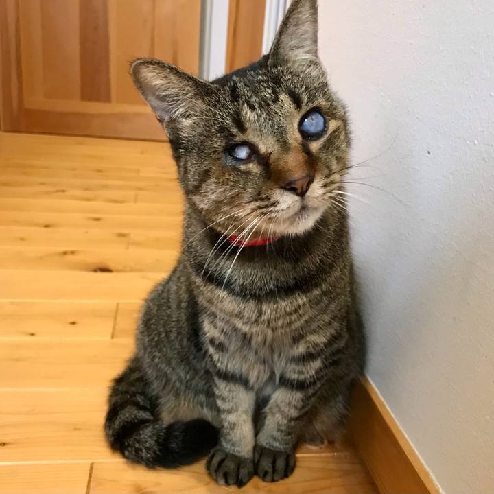 C6e7d68d 4a19 4421 9fea 6eeb6996e3bd 1630924608117