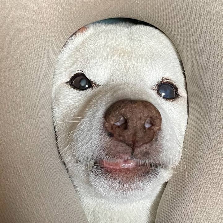 C6e7dcb7 478f 4159 a5e3 daa3f06f47ad 1667536060007