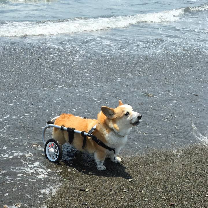 C6e811f7 f00f 4c60 9b73 57b89fc505a7 1591230495896